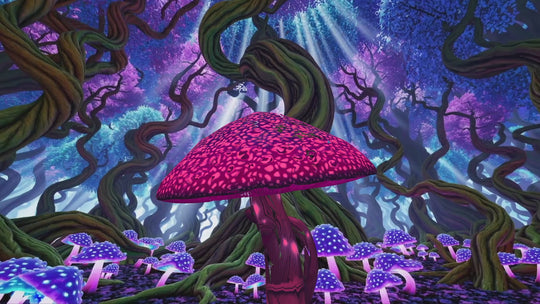 Magic Forest