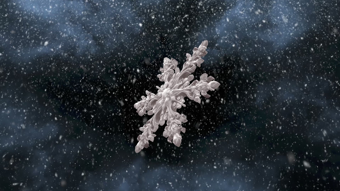 Snowflake Dance
