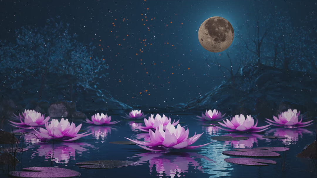 Moon Dance